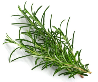 Rosemary