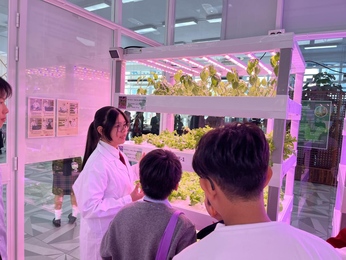 課程照片 9